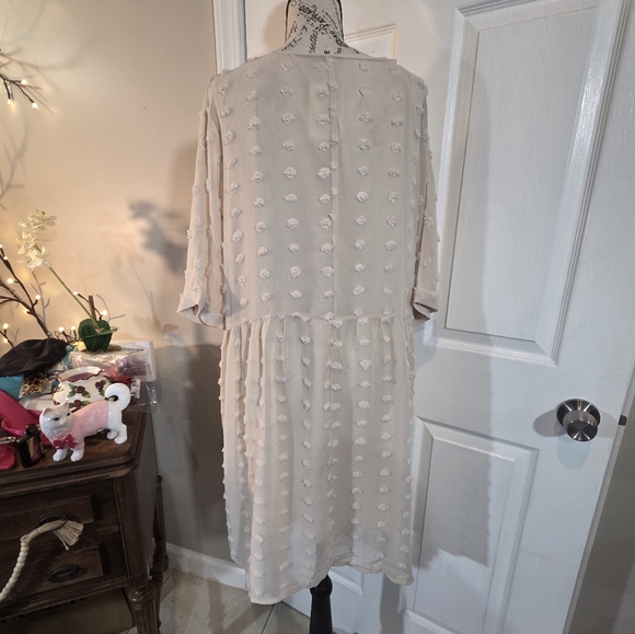 Zenana Swiss Dot Babydoll V-Neck Dress - Picture 5 of 8